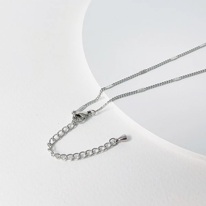 Detail of silver titanium steel chain showing the lobster clasp and extension links