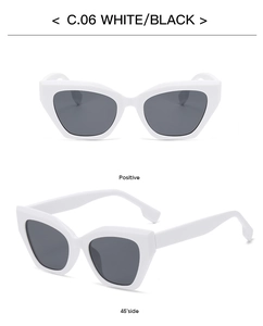 Detailed front and side views of trendy white cat-eye sunglasses with black lenses