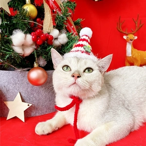 Detail of red and white striped knit Christmas hat with matching woven collar for pet cats