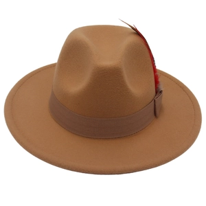Detail eines kamelbraunen Fedora-Hutes mit braunem Band und dekorativer Feder