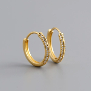 Close-up of gold-plated hoop earrings featuring double rows of micro-pave zircons