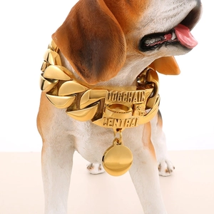 Polished gold stainless steel Cuban chain dog collar with custom engraved round tag