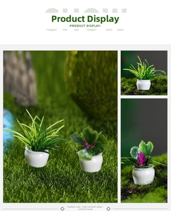 Macro view of miniature dollhouse plants in white pots for garden landscape decor