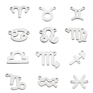 Polished silver stainless steel 15mm zodiac pendants collection in 3x4 grid layout