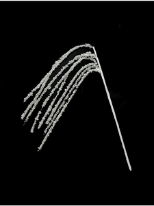 Macro shot of elegant white pearl branch spray for luxury Christmas tree and wreath decor