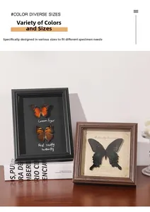 Macro detail of high-quality butterfly specimen frame with retro paper and wood texture