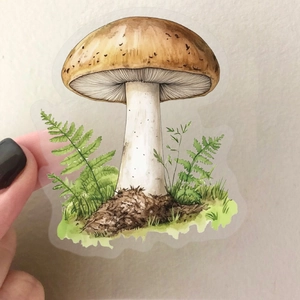Detailed view of a transparent PET mushroom sticker held to show its waterproof texture