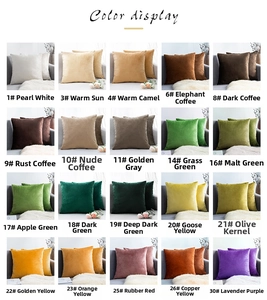 Detail showing 20 solid colors of velvet pillow covers in a professional grid display