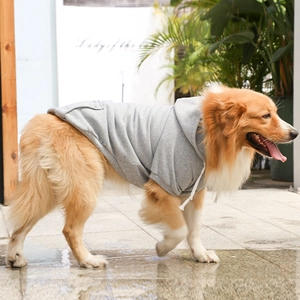 Close-up of gray fleece pet hoodie with adjustable drawstring hood on golden retriever