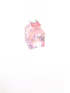 Detail view of pink gift box with 3D butterfly decoration and floral party patterns