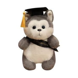 Husky di peluche in abito da laurea con tocco dottorale e fascia di congratulazioni