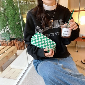 Close-up of green and white checkered knit cosmetic bag with metal zipper held by model