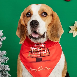 Close-up of a Beagle wearing a red Christmas dog bandana with Merry Christmas tree print