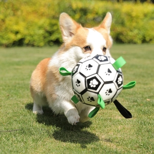 Dog soccer ball with nylon tabs for fetching and training on grass with a Corgi dog