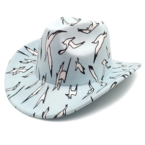 Light blue cowboy hat with seagull print and classic creased crown on white background