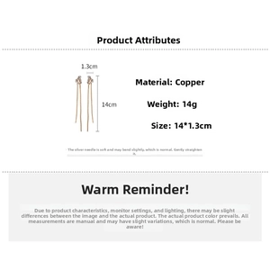 Detail showing long metal tassel earrings with rhinestone studs, length 14cm and weight 14g