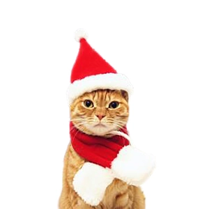 Christmas pet costume set with red Santa hat and plush scarf for cats and small dogs
