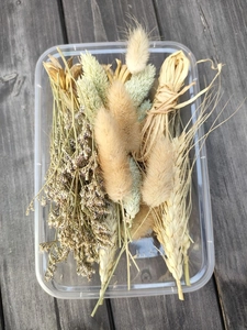 Macro detail of natural dried flower DIY kit with pampas grass in a transparent box
