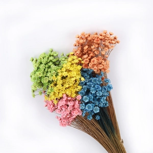Colorful dried star flower bouquet with vibrant petals and natural twine tying