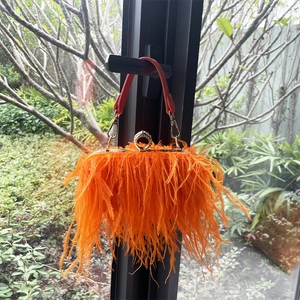 Detail of orange ostrich feathers and red cylindrical handle on a small square evening bag