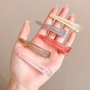 5-piece set of matte translucent duckbill hair clips in assorted colors on a hand