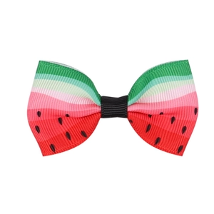 Vue détaillée d'un nœud papillon en ruban gros-grain avec motif pastèque coloré