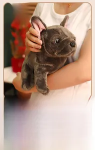 Close-up of realistic dark brown French Bulldog plush toy held by person in home setting