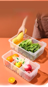 Macro view of clear plastic food storage bin with dividers and drainage slots