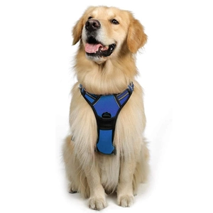 Blue dog harness for large dogs with reflective strips and breathable mesh fabric