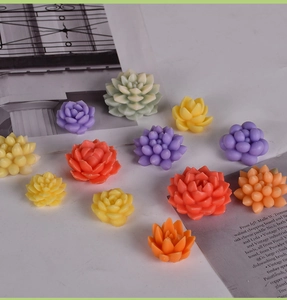 Detailed view of colorful succulent silicone molds for DIY handmade candle crafts