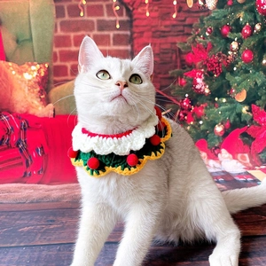 Gros plan d'un chat portant un collier de Noël tricoté festif en rouge, blanc et vert