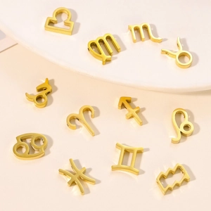 Zodiac Constellation Symbol Pendants Charms Stainless Steel DIY Jewelry Making Findings Necklace Bracelet Accessories