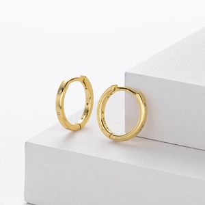 Elegant S925 sterling silver gold-plated hoop earrings with micro-inlaid zircon