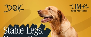 Primo piano di un cane sorridente per la protezione delle zampe del marchio DOK