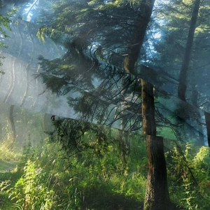 Dettaglio ravvicinato della trama fine e della stampa della foresta HD sul arazzo in tessuto