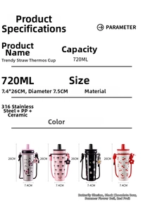 Detailed technical specifications for 720ml 316 stainless steel insulated straw bottle