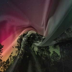 Dettaglio dell'arazzo forestale con stampa digitale di aurora e cielo stellato