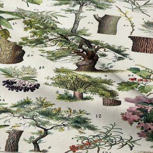 Close-up of vintage botanical plant illustration on linen fabric background tapestry