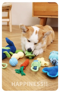 Primo piano di un Corgi che gioca con nodi di corda in cotone colorato e giocattoli da masticare