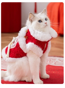 Close-up of red winter cat vest with floral embroidery and white faux fur trim