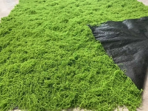 Detail of faux green moss lawn with realistic texture and black non-woven backing