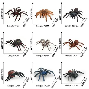 Set of 9 realistic spider model toys for kids including tarantula with dimensions