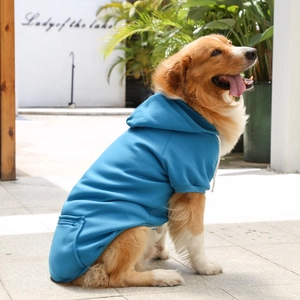 Golden Retriever wearing a blue hooded pet sweatshirt with back pocket in outdoor yard