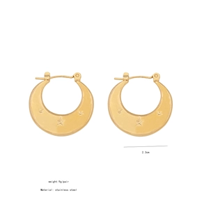Detailansicht goldener Edelstahl-Ohrringe mit Sternenmuster und der Größe von 2,3 cm