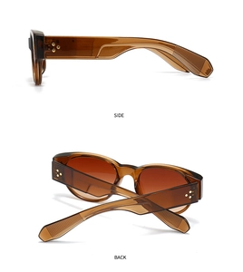 Side and back view of tortoiseshell sunglasses showing rivet detail and frame structure