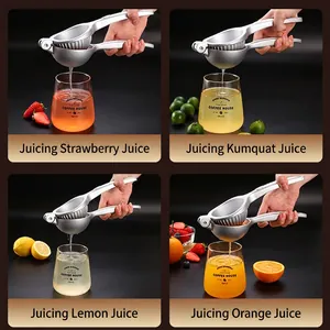 Manual zinc alloy citrus squeezer for lemons and oranges with a four-grid scene display
