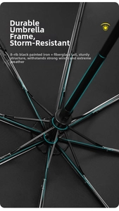 Internal 8-rib reinforced windproof umbrella structure with black iron and fiberglass