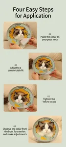 Detailed four-step guide for wearing the adjustable soft fabric pet recovery collar