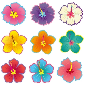 Detail view of nine vibrant paper hibiscus flowers in assorted colors for classroom decor