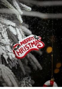 Hanging 'Merry Christmas' sign pendant with festive red and white details on pine branches
